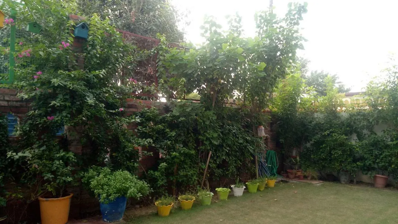 Coral Country Homestay Agra  India